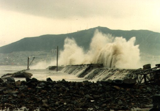 Cross the Red&nbsp;Sea