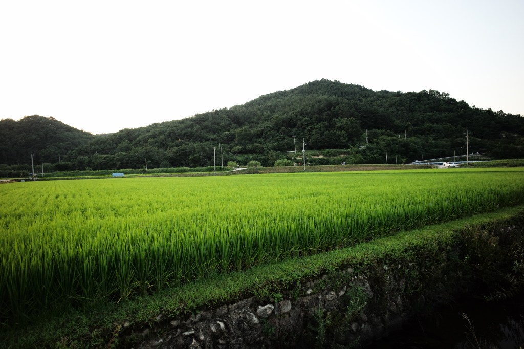 Let’s Live like&nbsp;Joseph