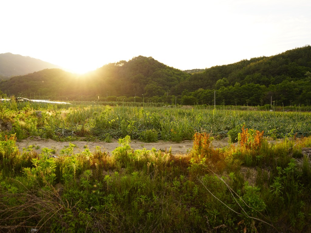 Rid Ourselves of Every Obstacle and&nbsp;Sin