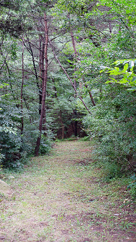 Hopefully Wait for the&nbsp;Lord