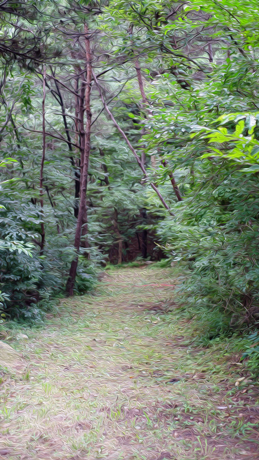 Never Cease to Build Your&nbsp;Faith