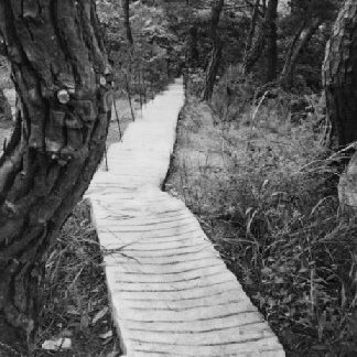 Only God Can Rescue&nbsp;Us