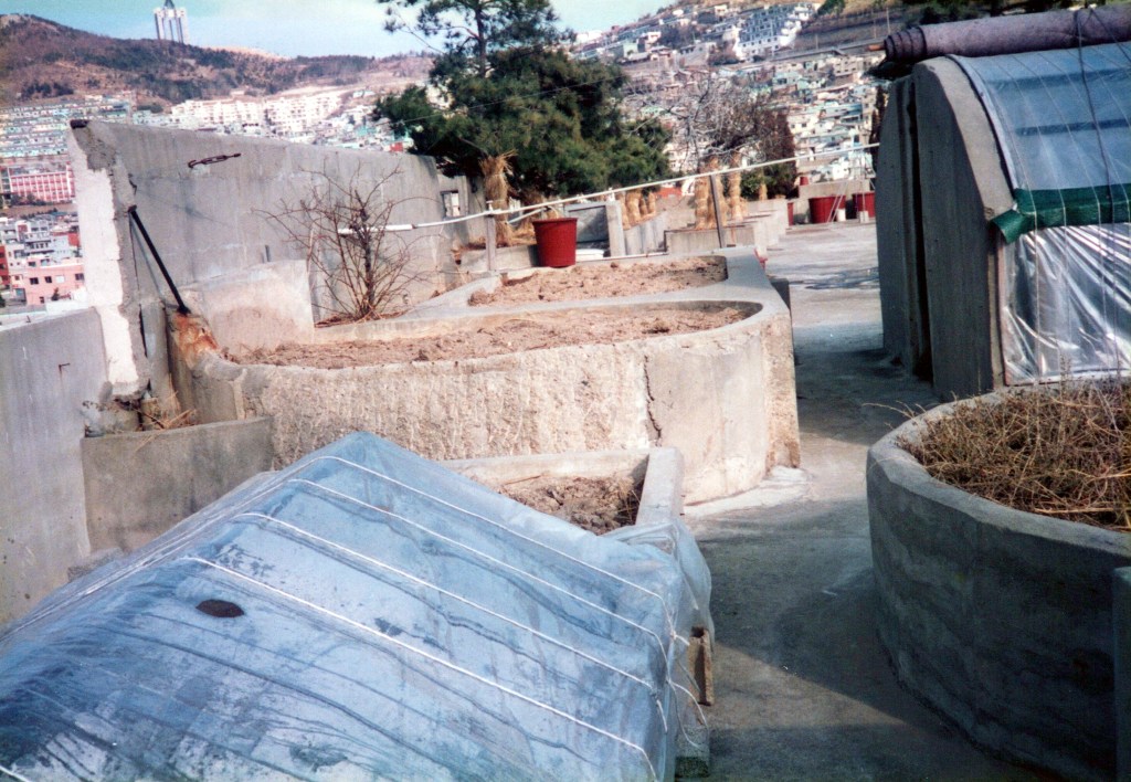 Do Four Things in the New&nbsp;Year