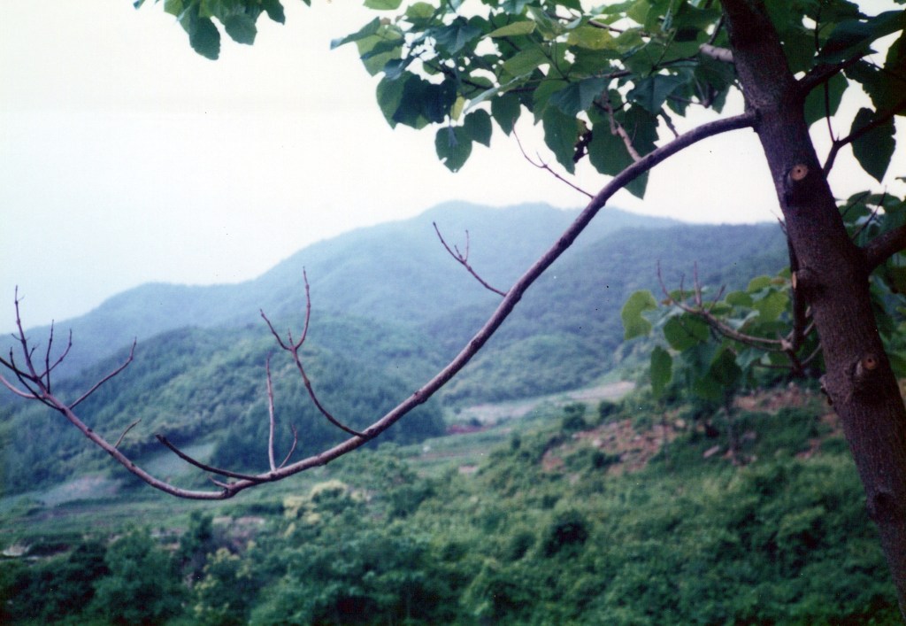 Are You Truly Following Jesus?