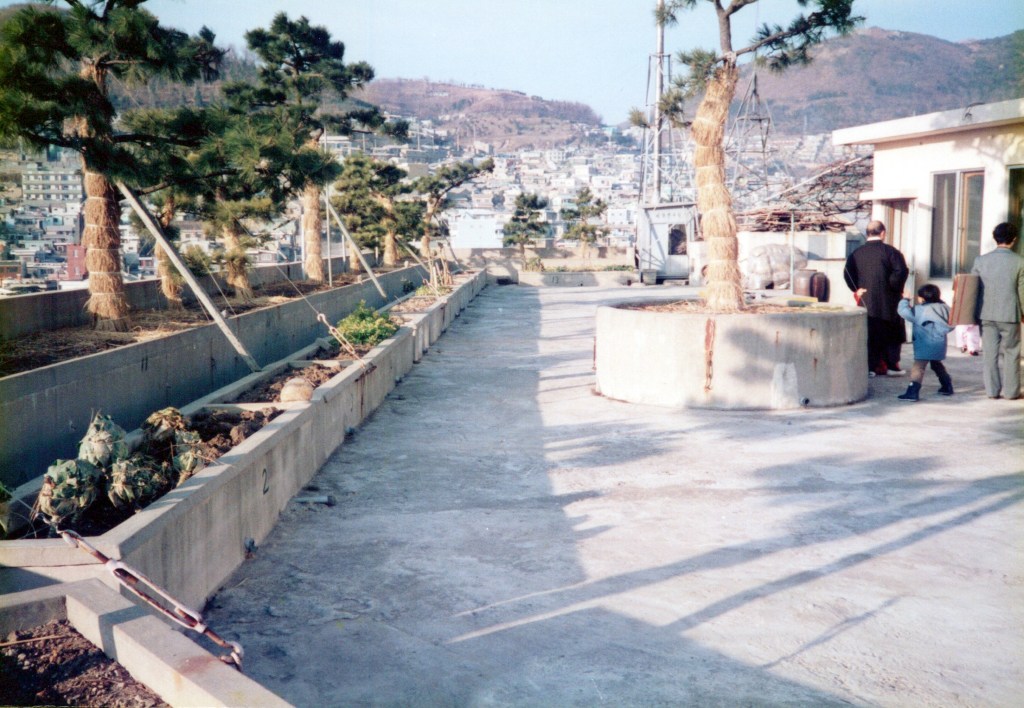 Bond-Servant and Apostle